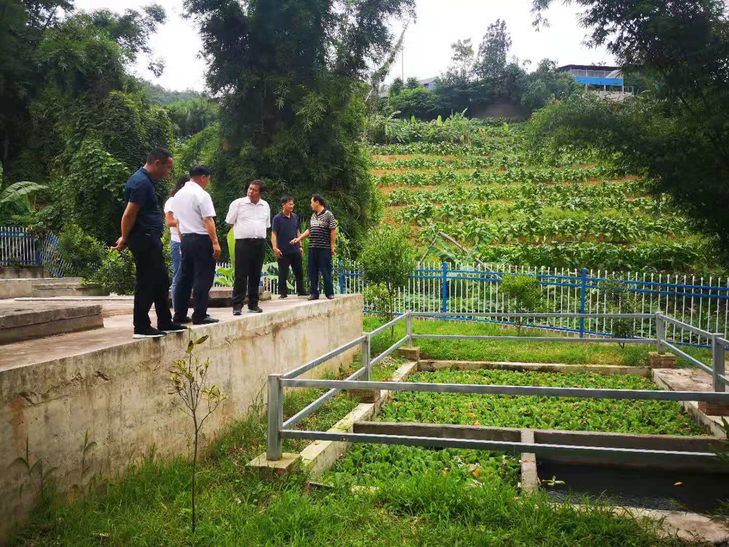 农村生活污水设备 农村生活污水设备