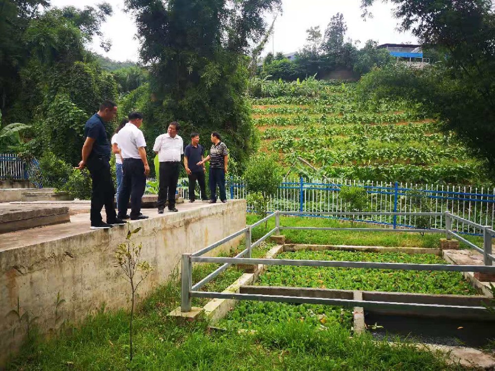 村镇生活污水处理设备 村镇生活污水处理设备