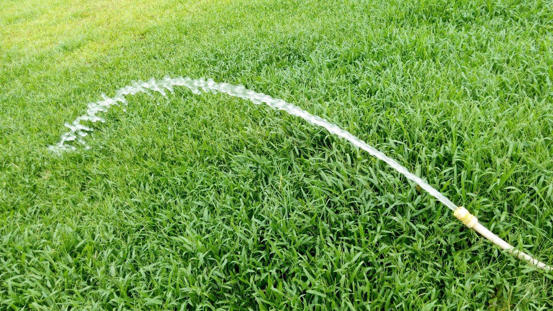 养猪场废水处理设备 养猪场废水处理设备